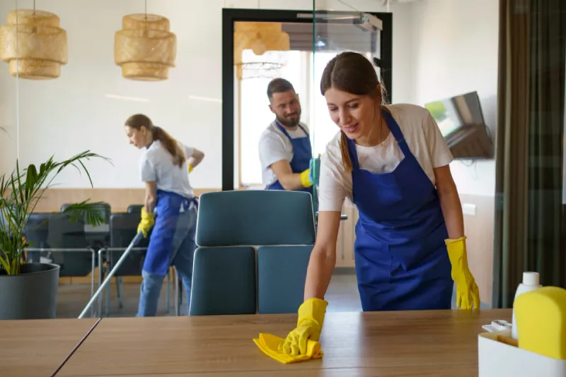 Book Cleaning Service